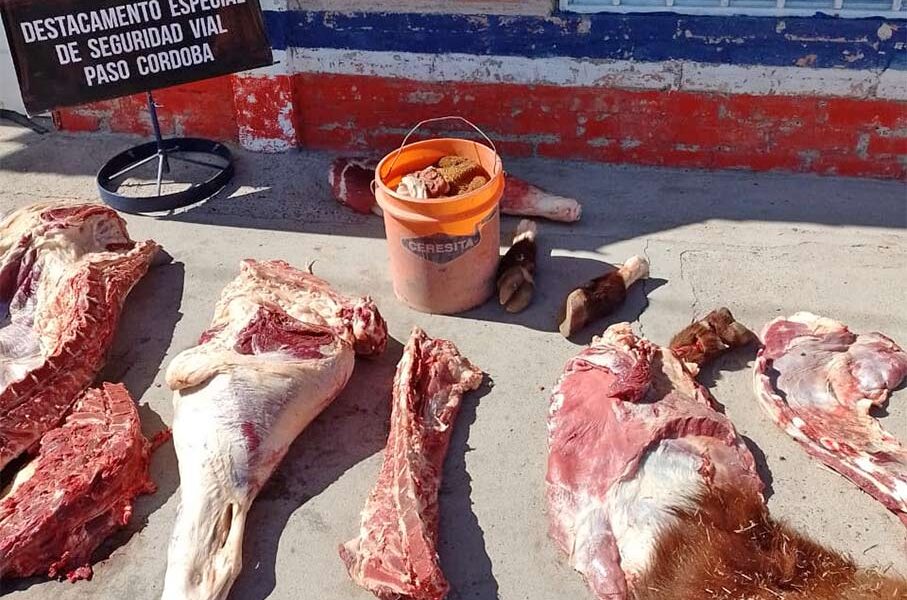 Decomisaron 300 kilos de carne vacuna faenada en Paso Córdoba La