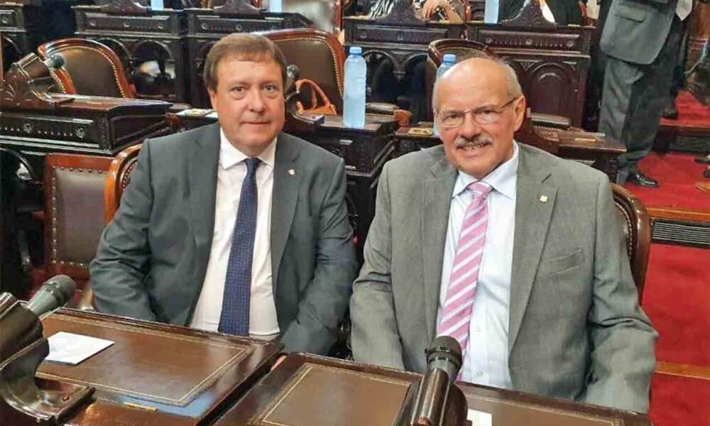 Weretilneck y Di Giácomo están que trinan con la designación de Soria ...